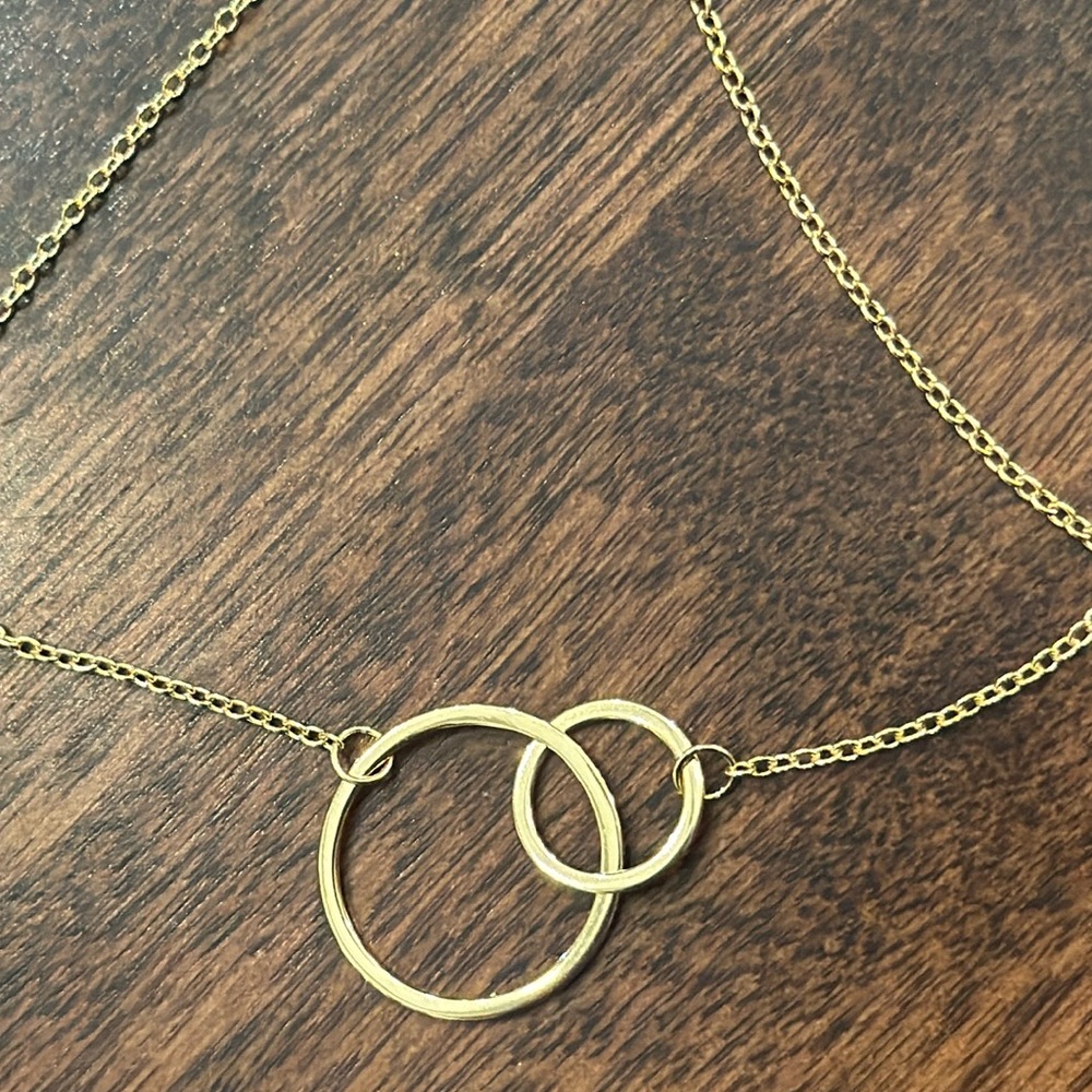 NWT🎉host pick🎉18kt gold over sterling silver double circle necklace